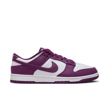 Nike Dunk Low Retro Viotech